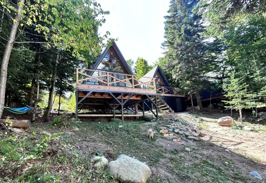 Счастливый лось