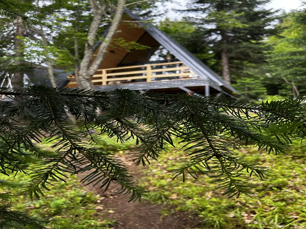 Счастливый лось фото 4