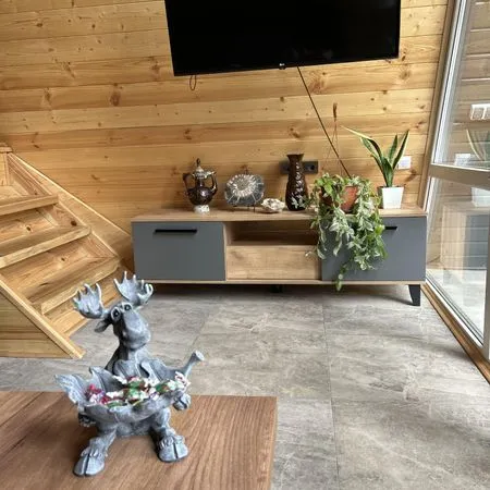 Счастливый лось фото 5