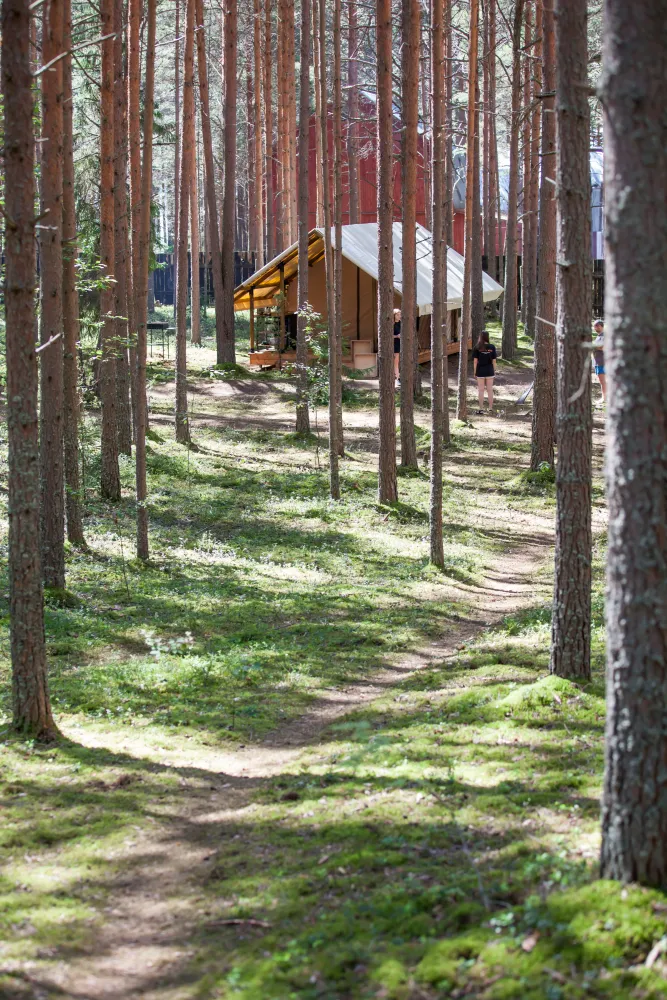 Seliger Wind фото 5