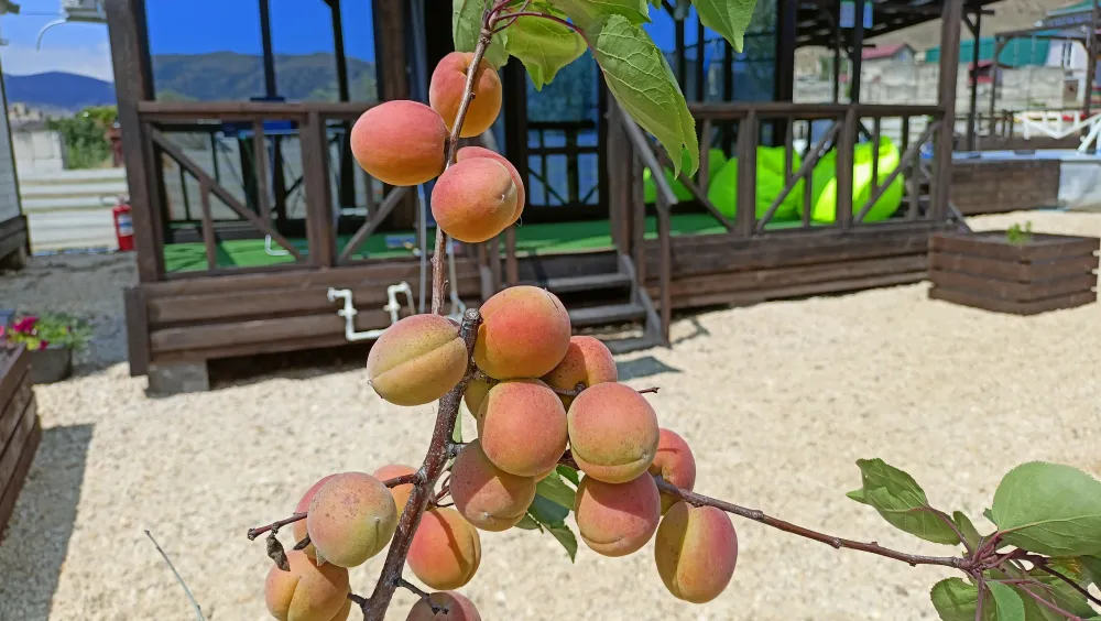 Семейная идиллия фото 3