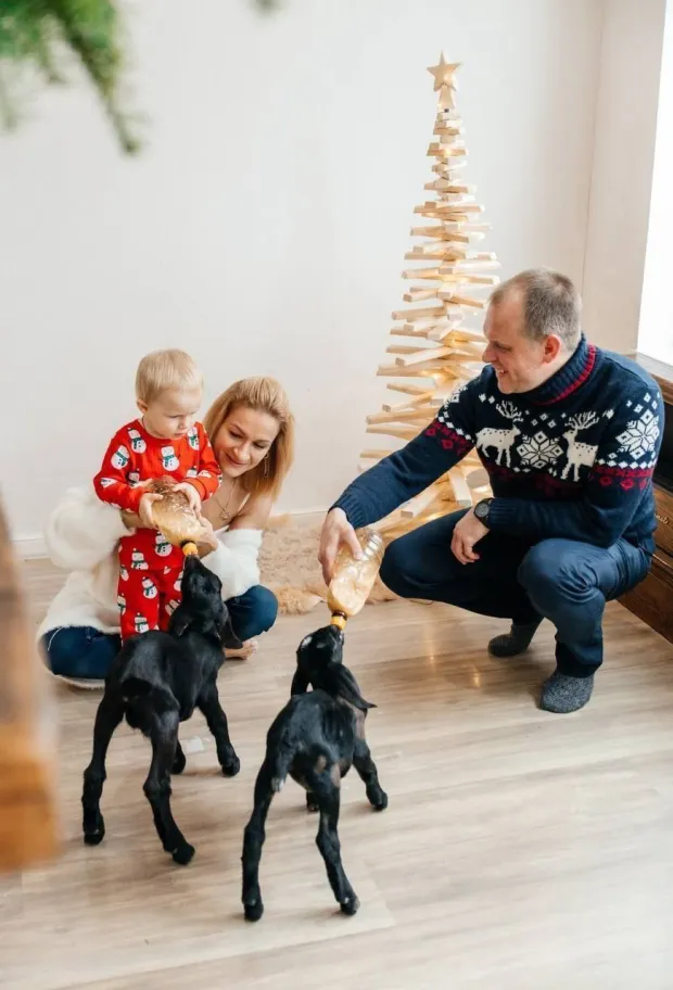 Семейная мини-ферма Фазенда фото 3