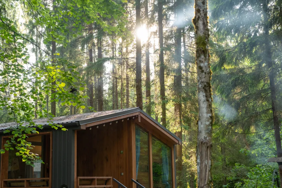 Сеть коттеджей "Пихта фото 2