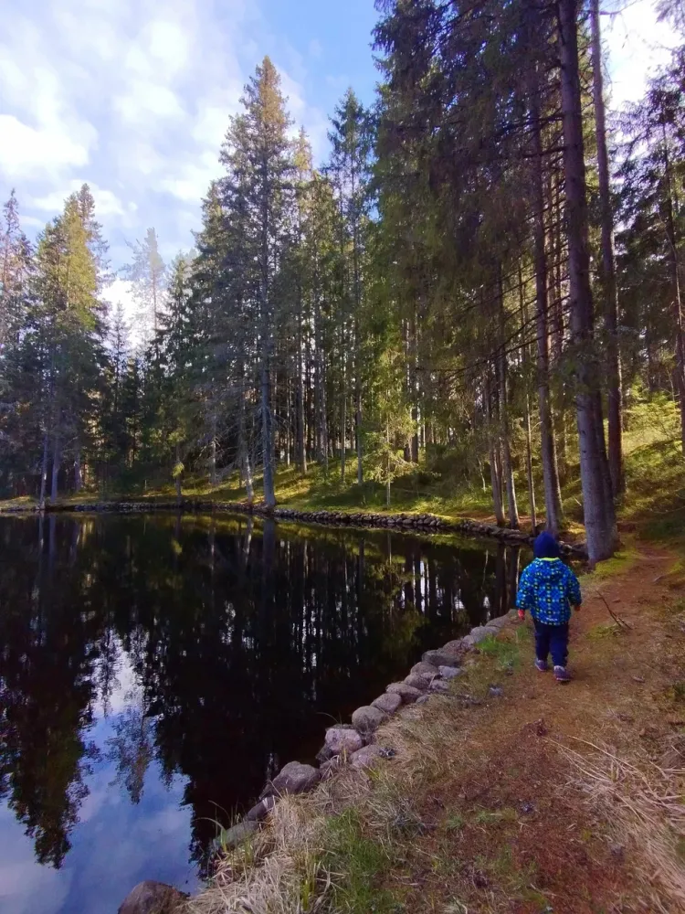 Сеть коттеджей "Пихта фото 5