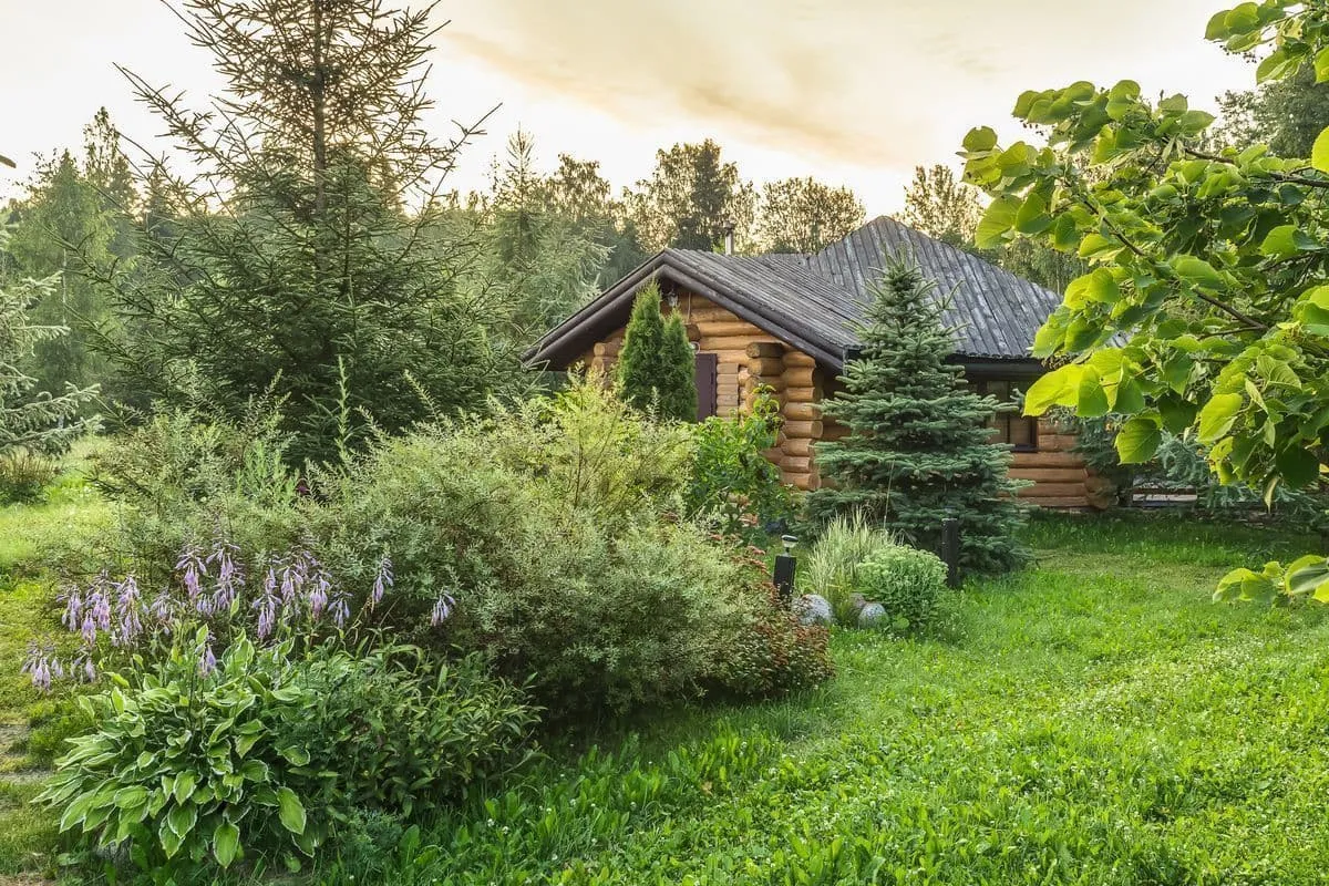 Северный Крым Глэмпинг фото 2