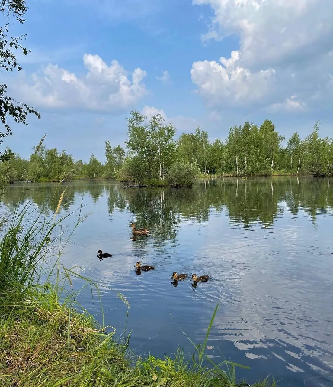 Shalash hotel фото 4