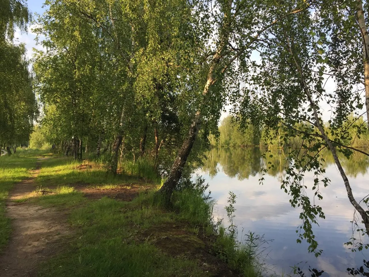 Shalash hotel фото 5