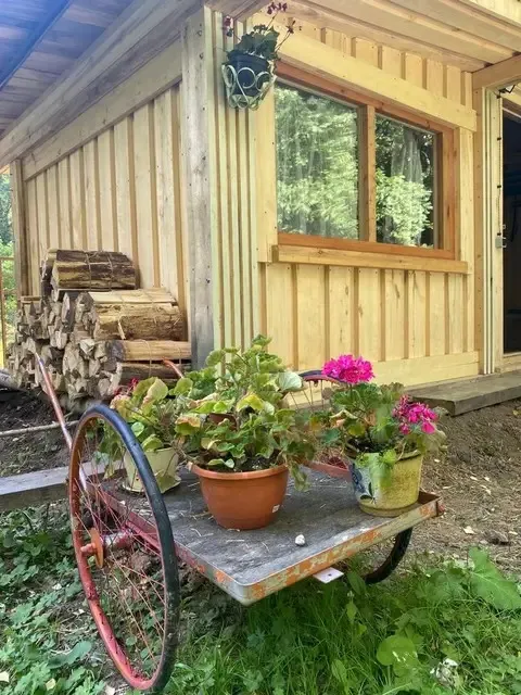 Шале-отель Таежные дачи фото 2