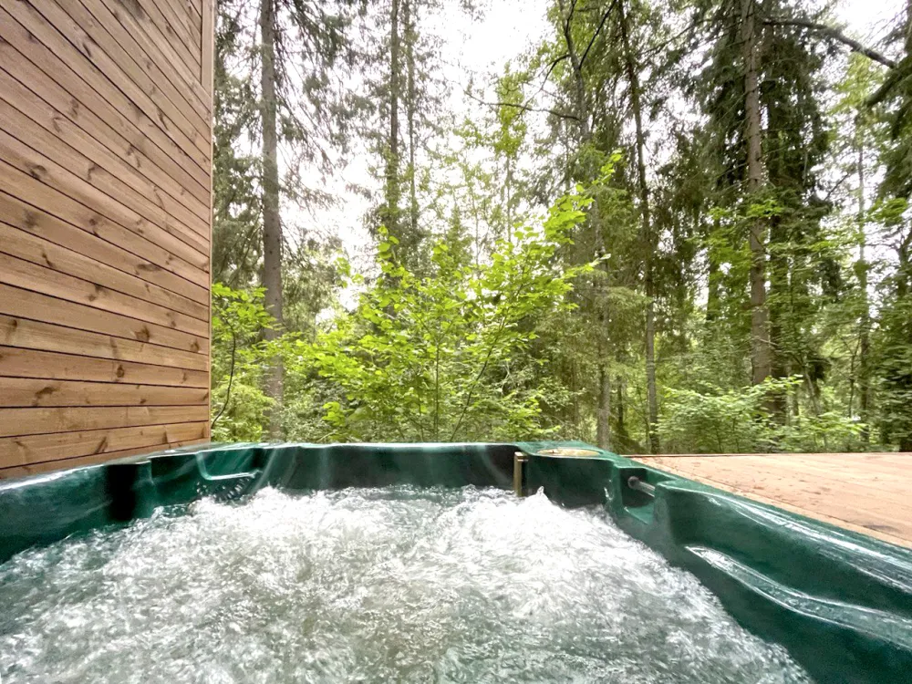 Шале с камином и джакузи в лесу фото 4