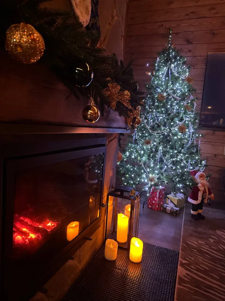 Шале с камином и джакузи в лесу фото 5