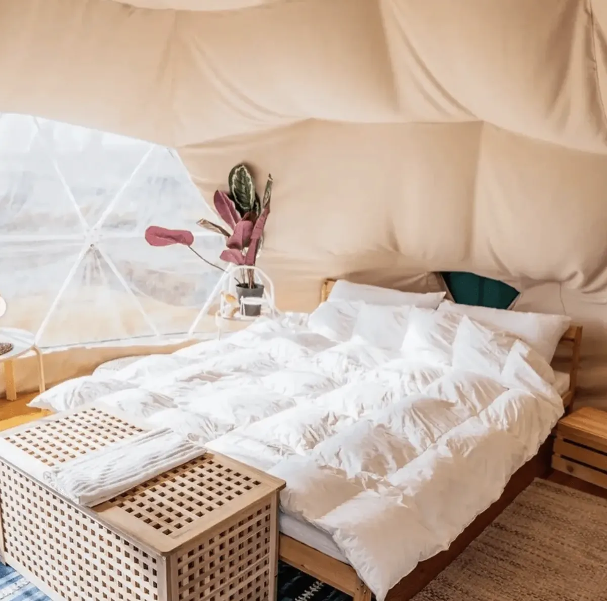 Shiksha Kam фото 3