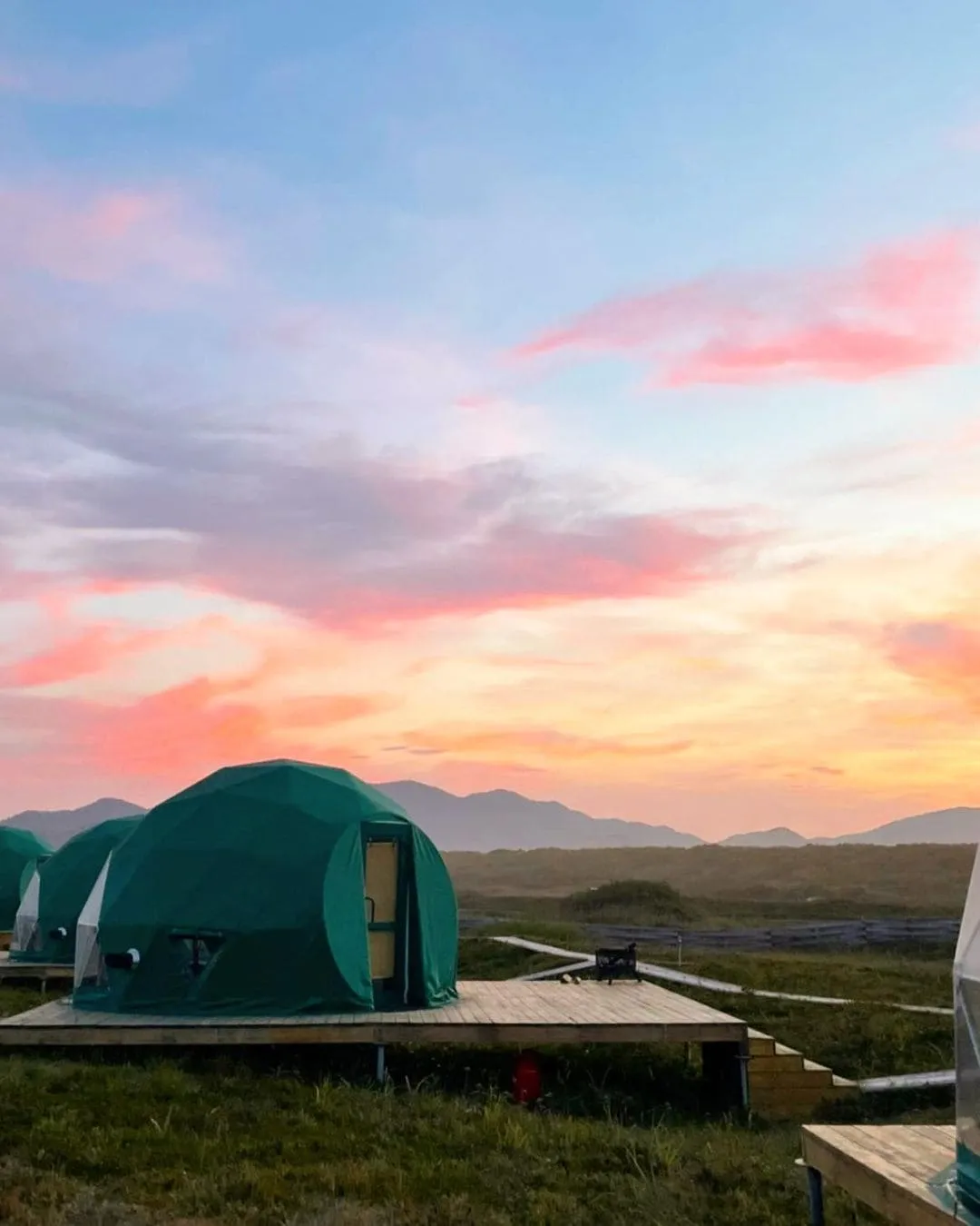 Шикша Камчатка фото 3