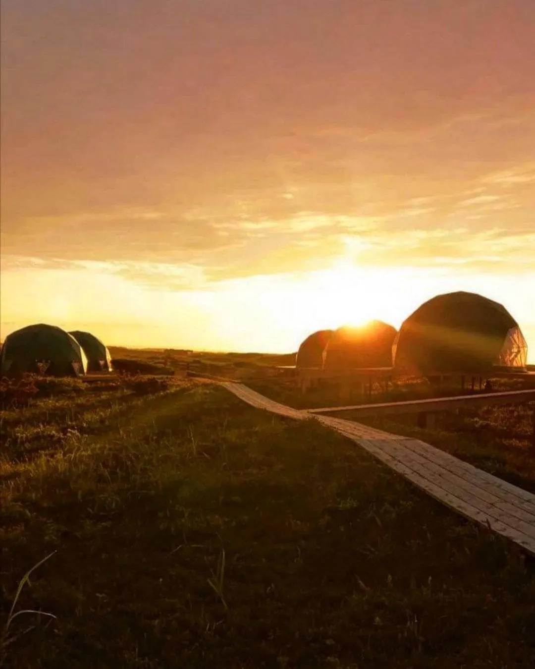 Шикша Камчатка фото 4