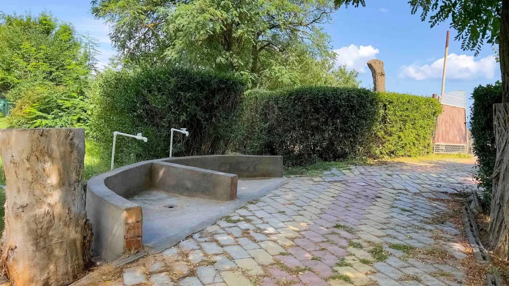 Шинкар фото 2