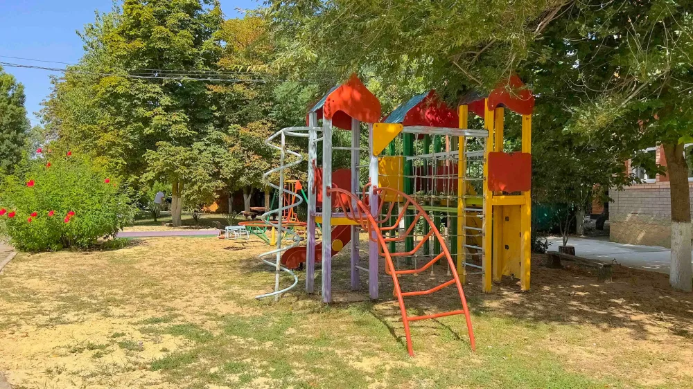 Шинкар фото 4