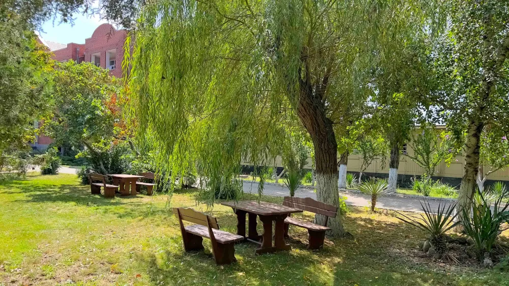 Шинкар фото 5