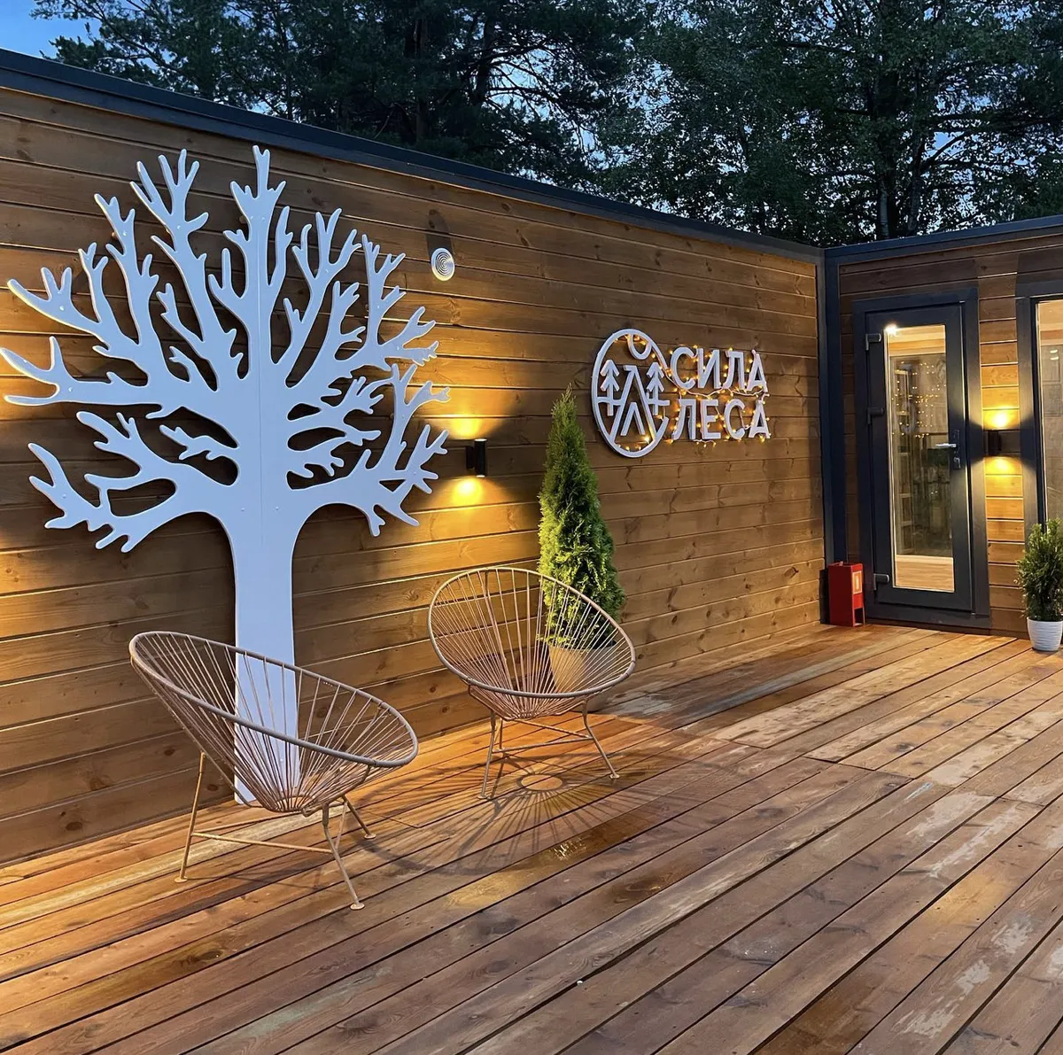 Сила Леса фото 2