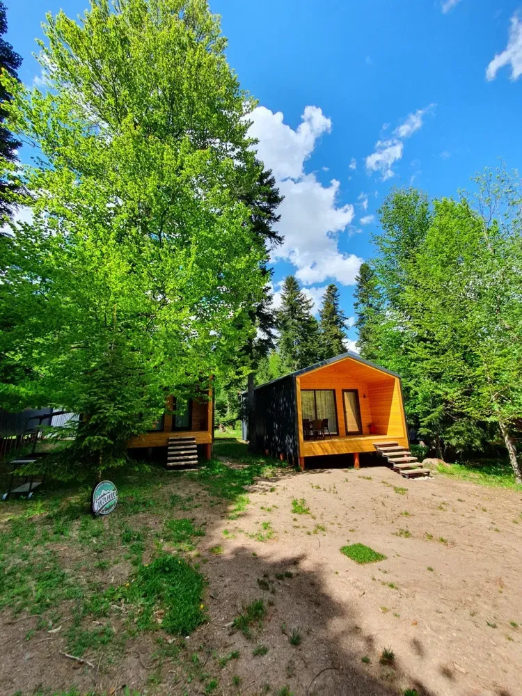 Сияние Family Club фото 4