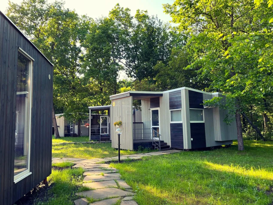 Солнечная поляна