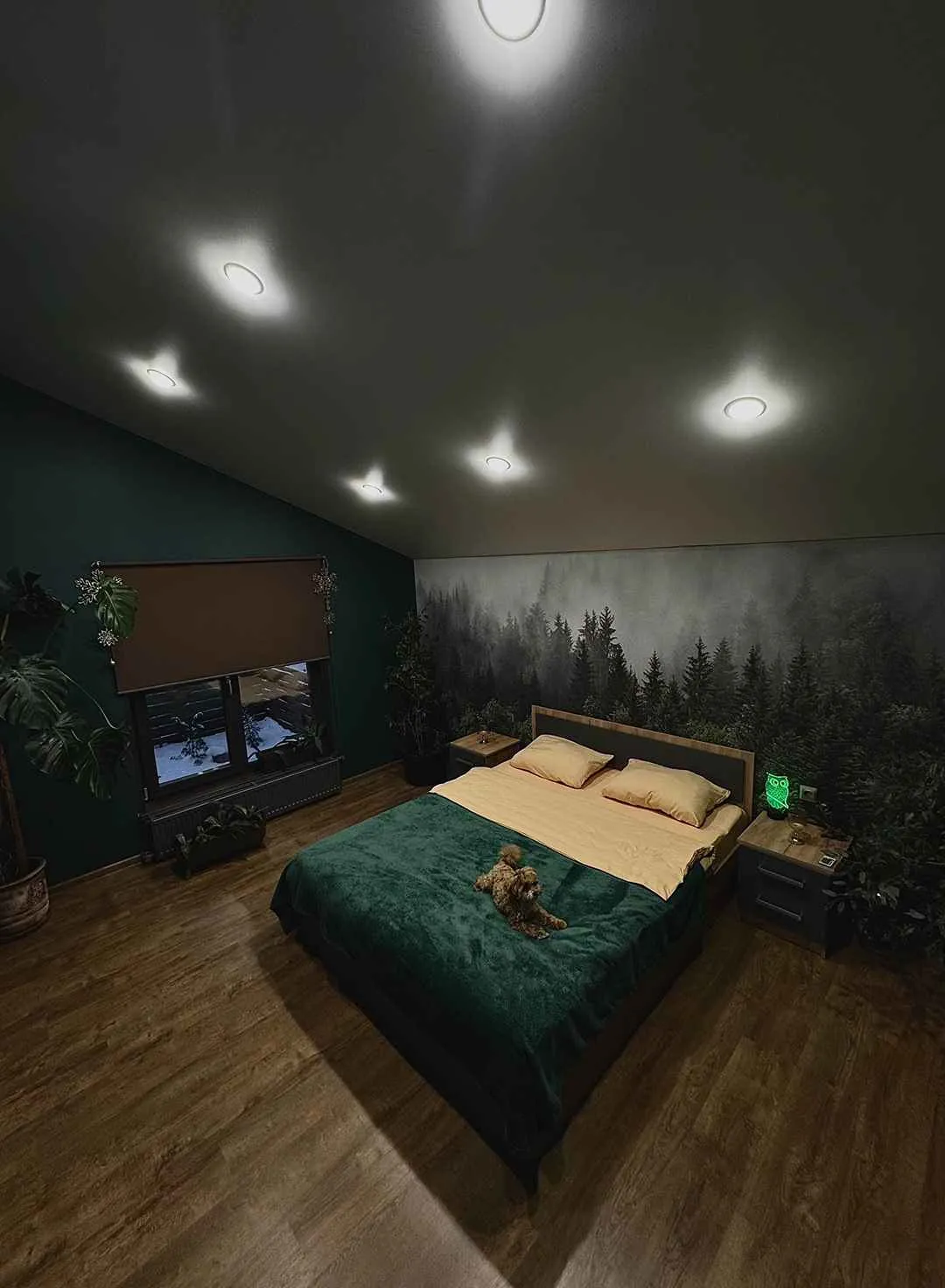 Сова Арзамас фото 4