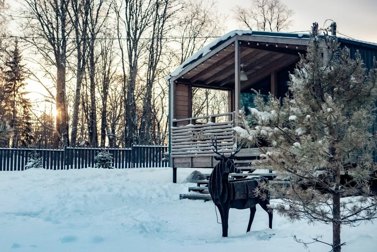 Sova (Сова Сойкино) фото 4