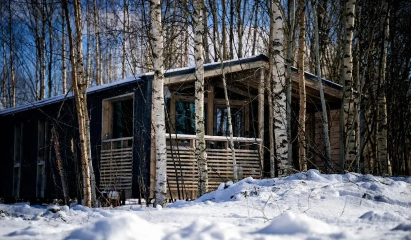 Sova (Сова Таменгонт) фото 2