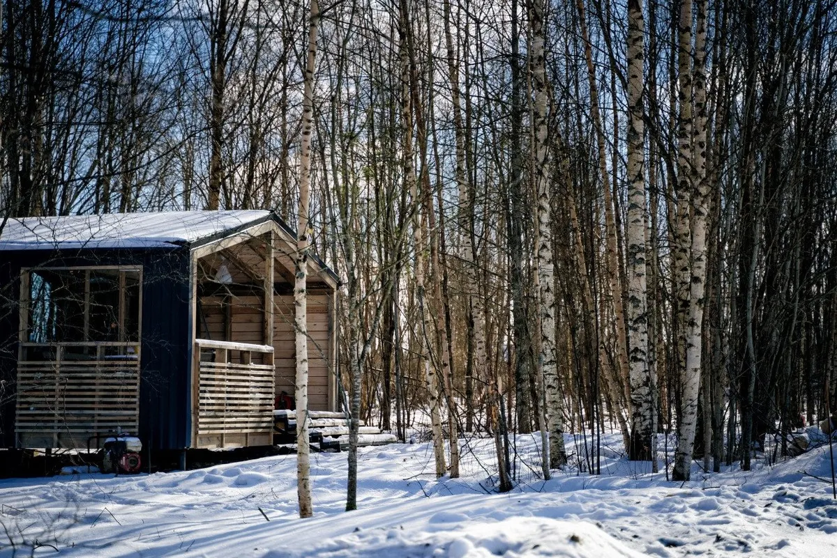 Sova (Сова Таменгонт) фото 3