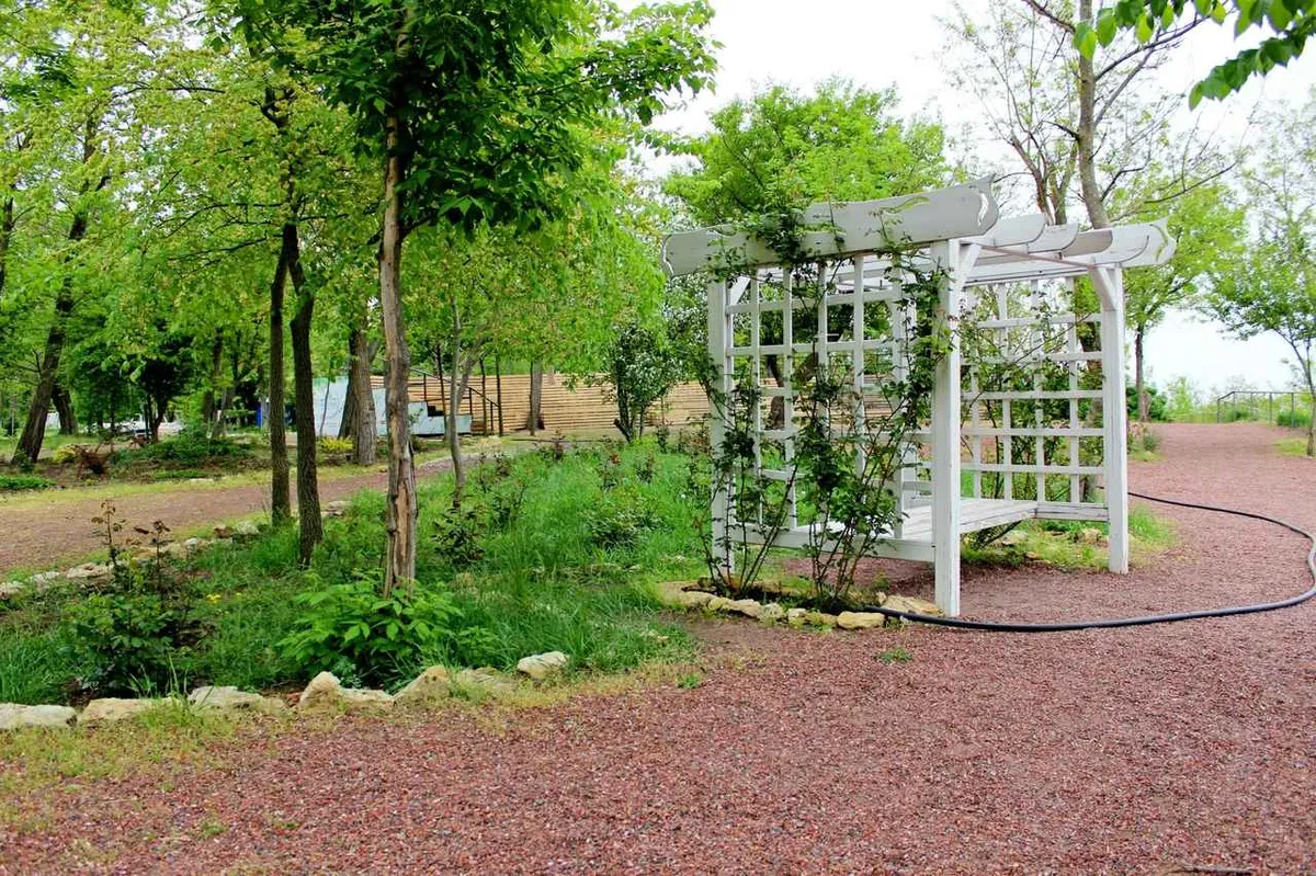 Станция Морская фото 3