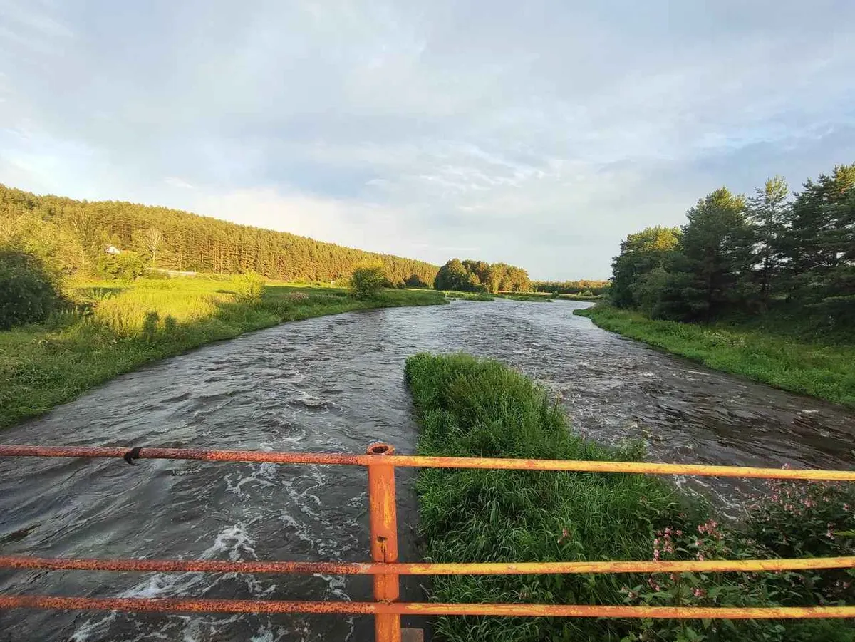 СУЕТЫ.НЕТ фото 2