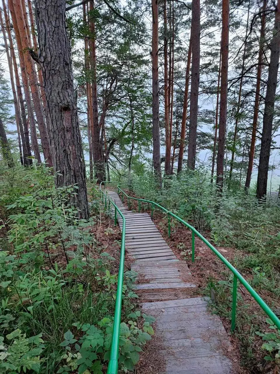 СУЕТЫ.НЕТ фото 3