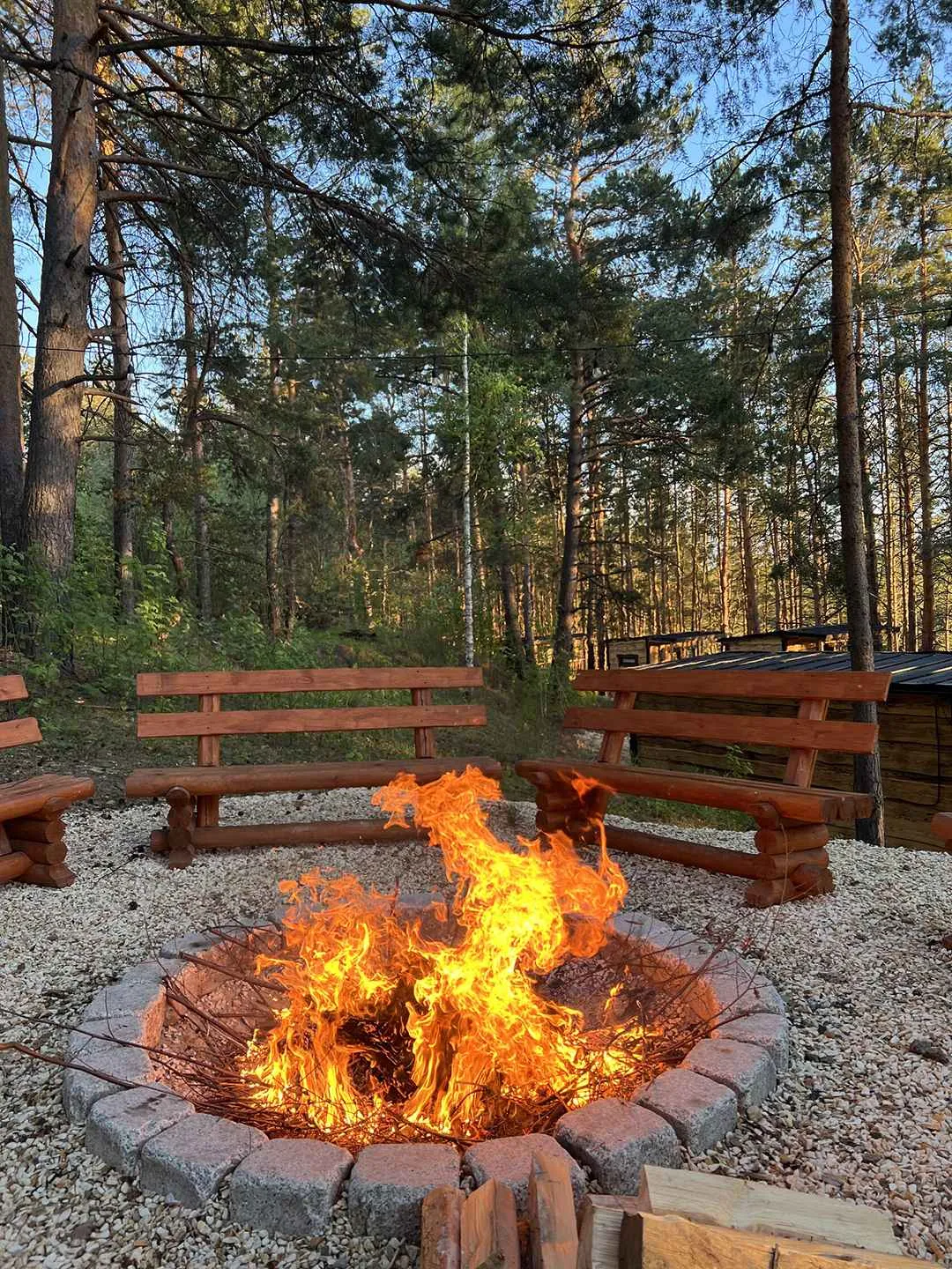 СУЕТЫ.НЕТ фото 5