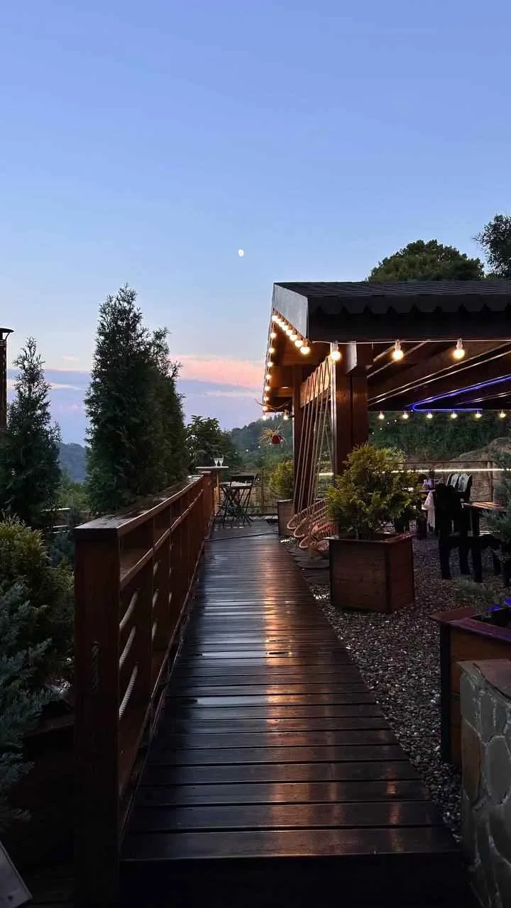 Светогорье фото 3