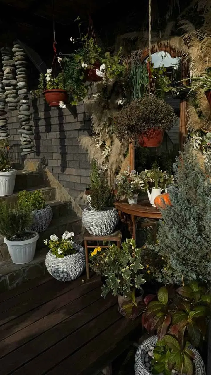 Светогорье фото 5