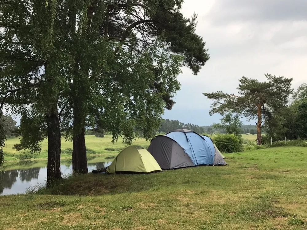 Свистуново фото 4