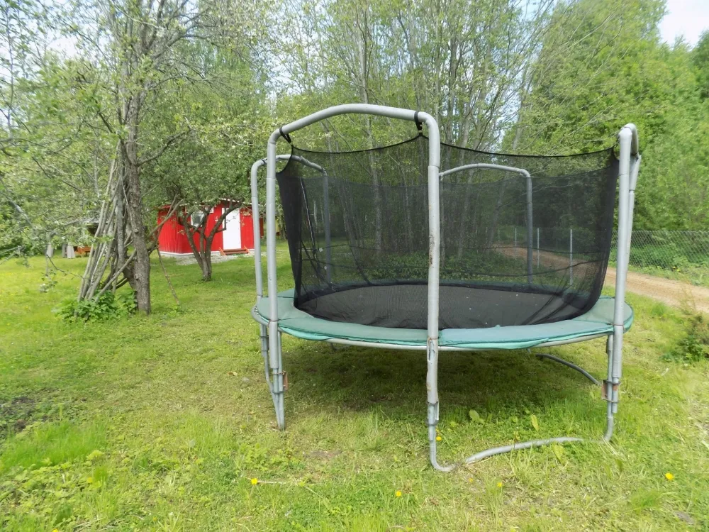 Свистуново фото 5