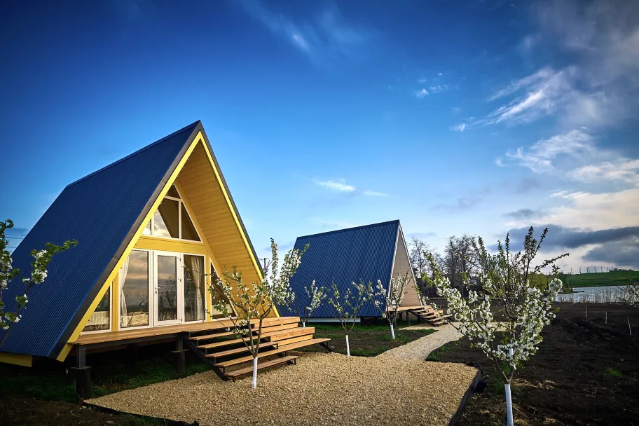 Терра23 фото 5