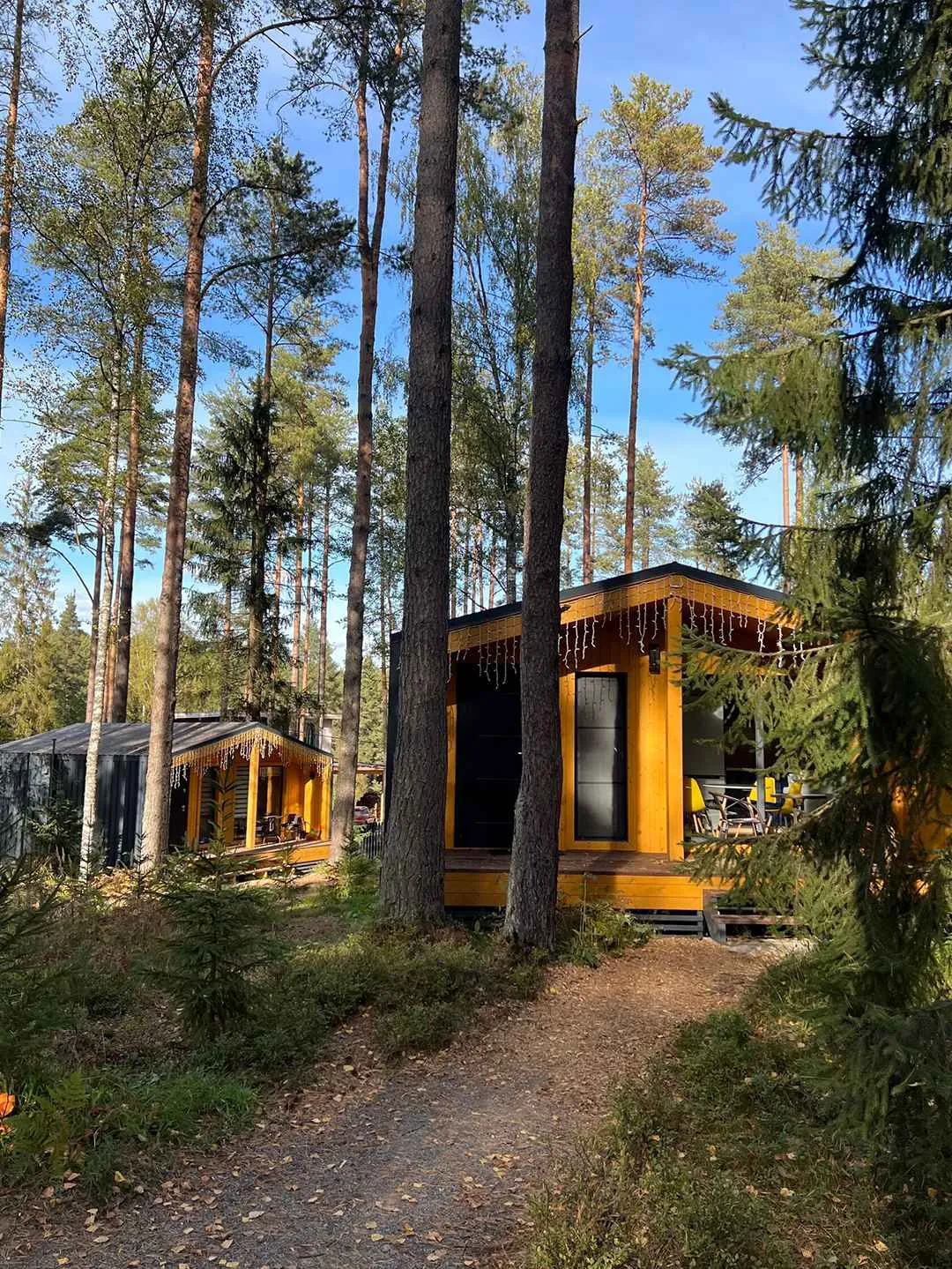 Территория отдыха Лисички