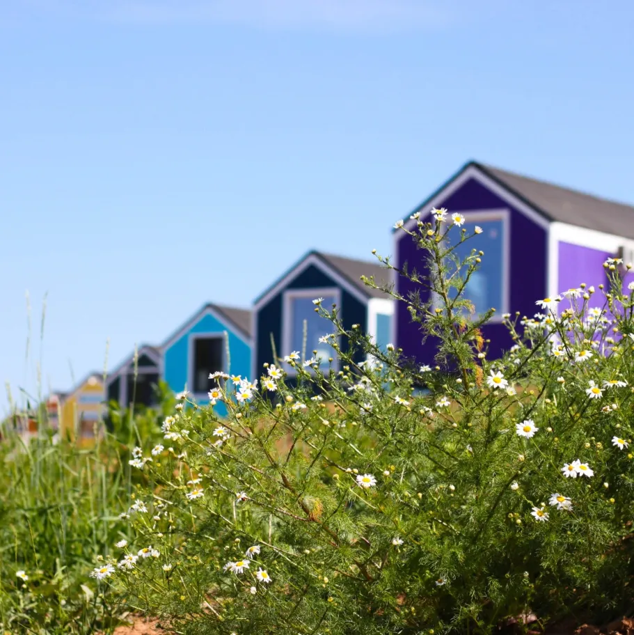 Территория отдыха "Лисья гора