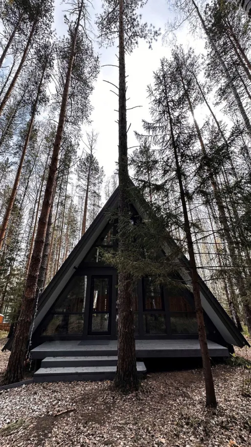 Территория отдыха «Время леса