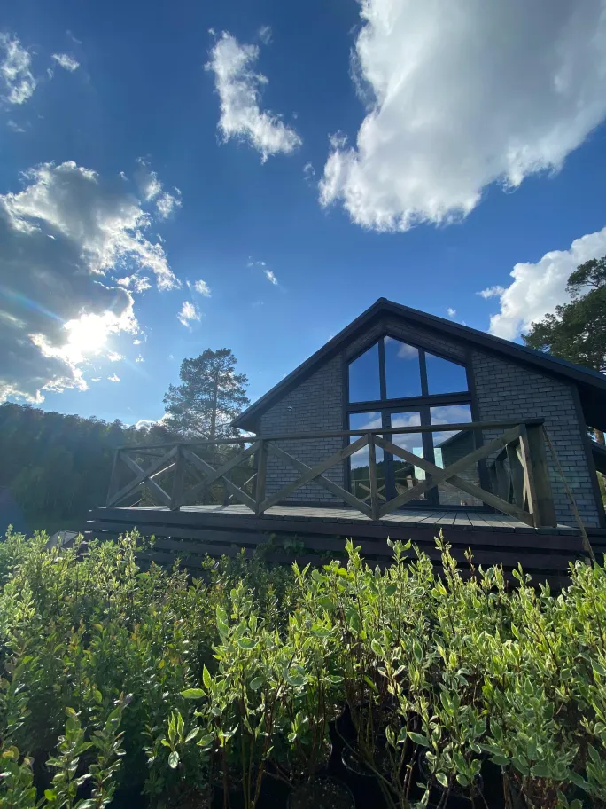 Территория