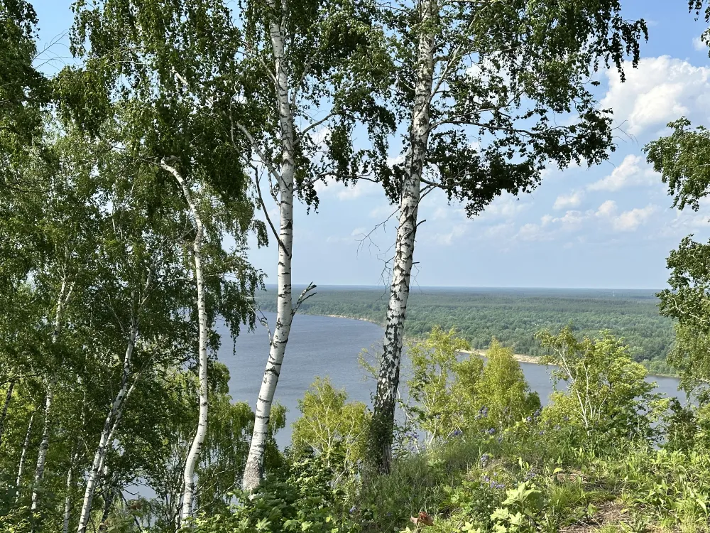 Точка на Волге фото 5