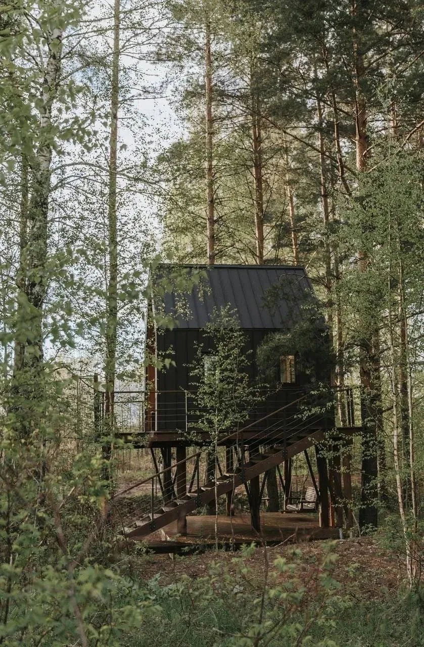 Домик на дереве