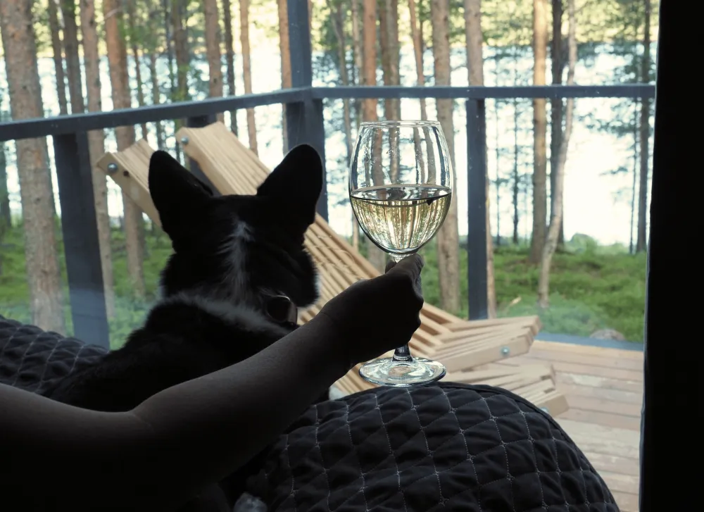 Точка притяжения фото 5