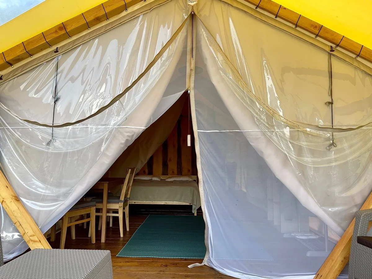 Точка в горах Алтая фото 3