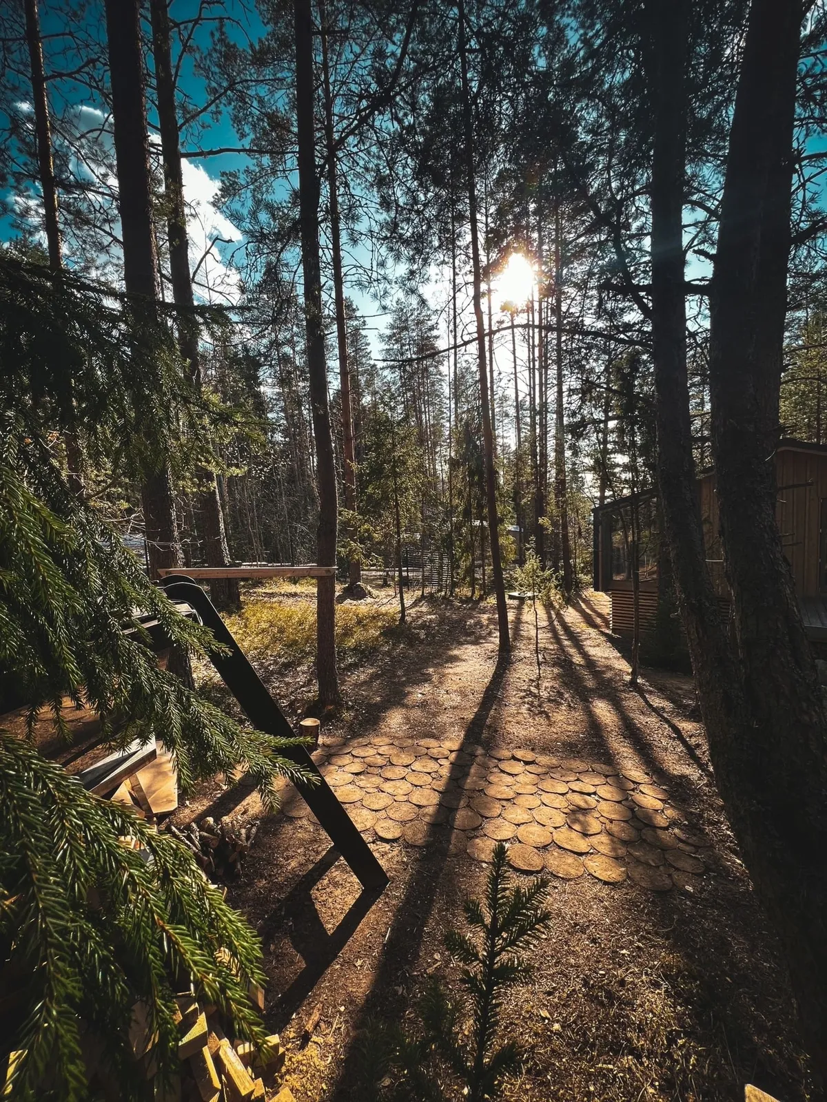 Трувор фото 2