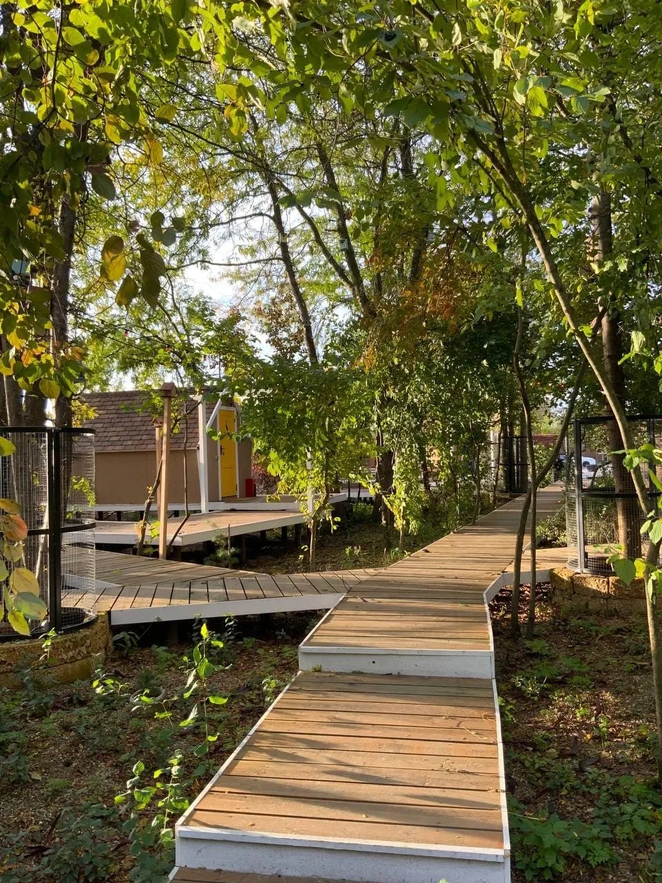 Творческий глэмпинг Скворечник фото 3