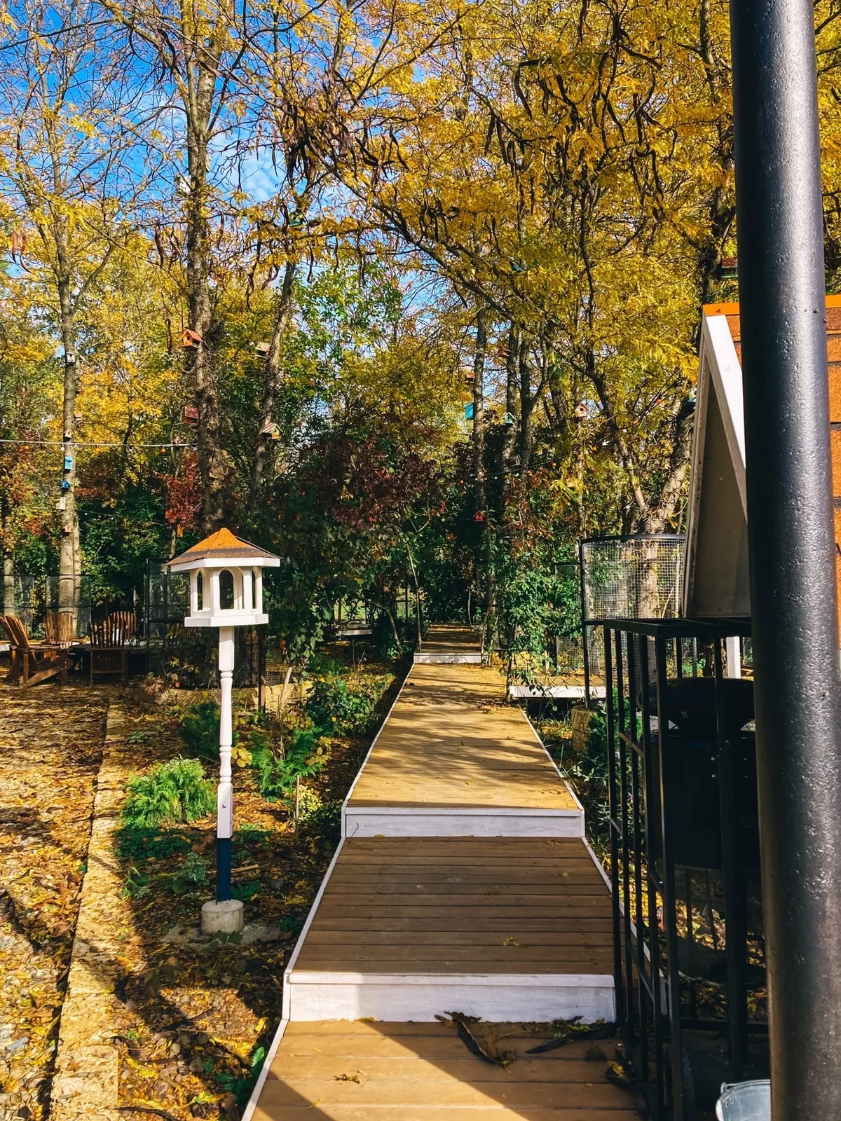 Творческий глэмпинг Скворечник фото 4