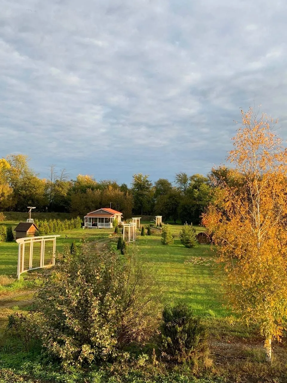 Творческий глэмпинг Скворечник фото 5