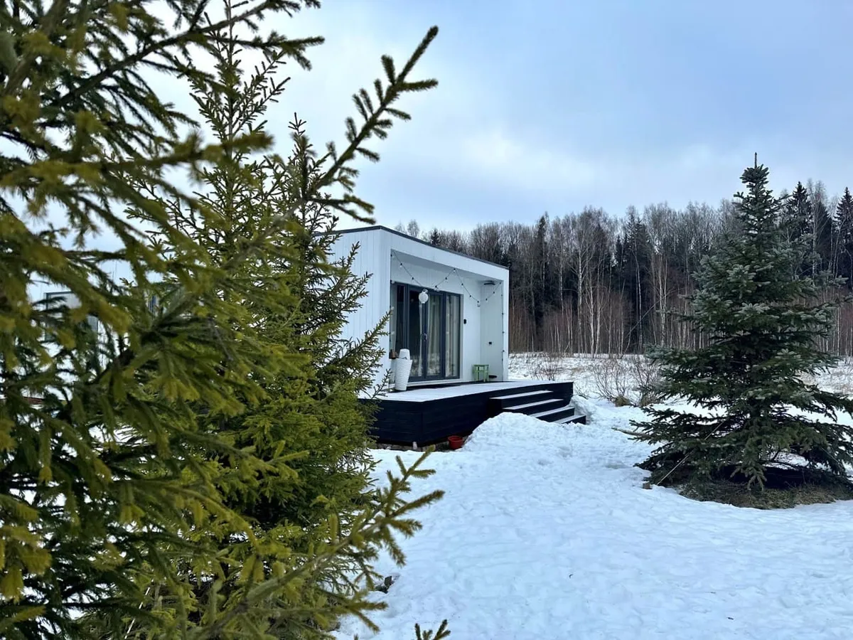 Белый дом у леса