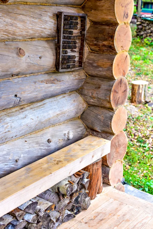 У Лыжника фото 2